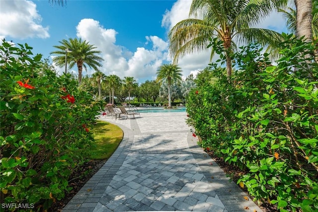 2685 Citrus St, Naples, FL 34120 - surrounding community with a patio area and a swimming pool