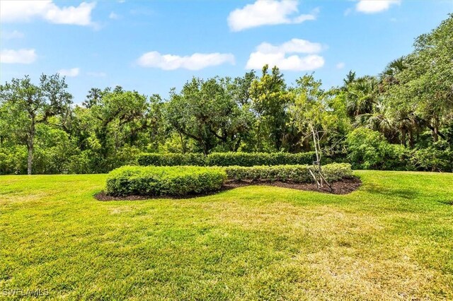 view of property's community featuring a yard