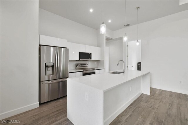 409 Columbus Blvd S, Lehigh Acres, FL 33974 - kitchen with appliances with stainless steel finishes, a sink, white cabinetry, dark wood-style floors, and modern cabinets