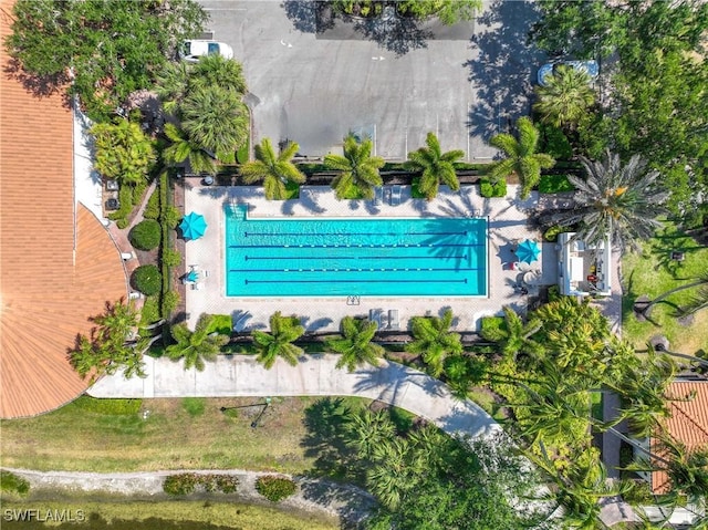 3803 Valentia Way, Naples, FL 34119 - aerial view of a pool