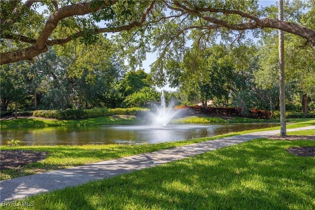 3803 Valentia Way, Naples, FL 34119 - view of home's community featuring a water view and a lawn