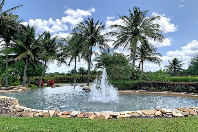 1421 Lucena Ln S, Naples, FL 34113 - view of surrounding community