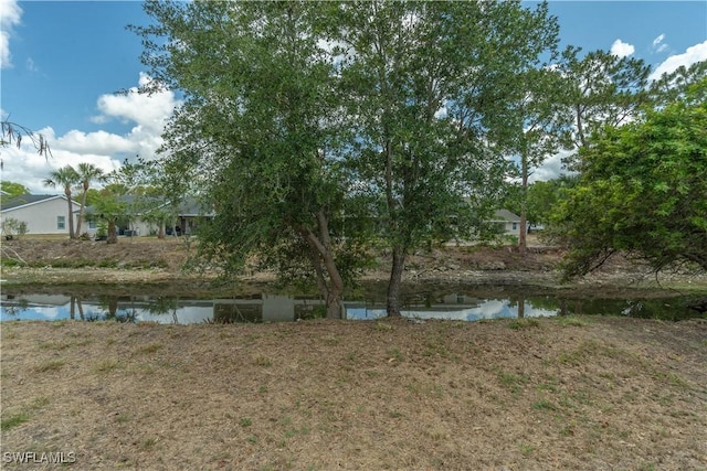 5295 17th Ave SW, Naples, FL 34116 - water view
