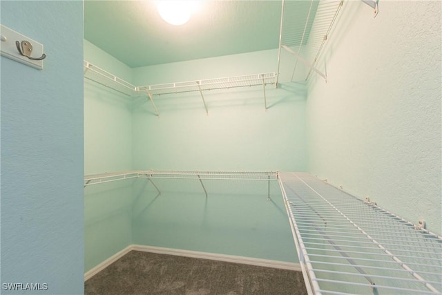 spacious closet with carpet floors