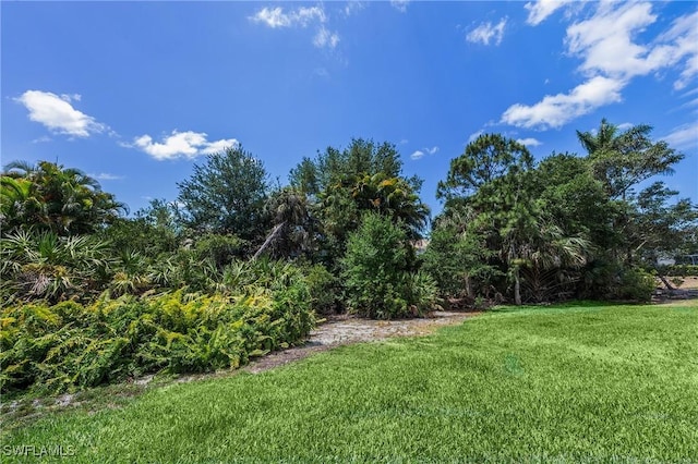 view of grassy yard