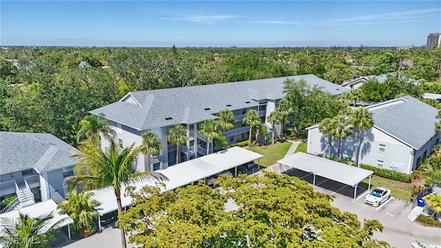 bird's eye view