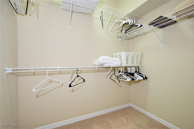 17110 Bridgestone Ct Unit 303, Fort Myers, FL 33908 - walk in closet with carpet floors