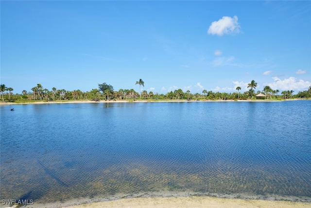 17110 Bridgestone Ct Unit 303, Fort Myers, FL 33908 - view of water feature