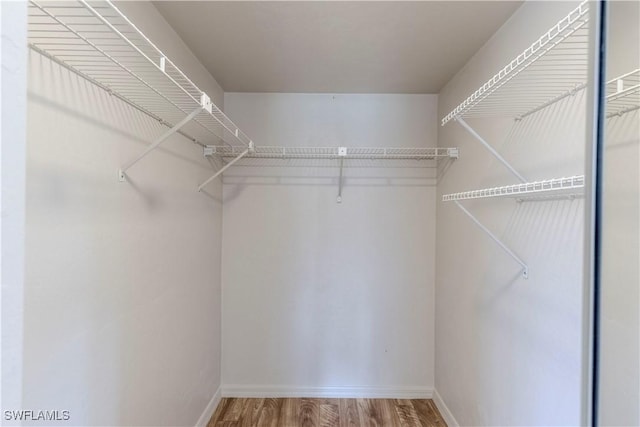 spacious closet featuring wood finished floors