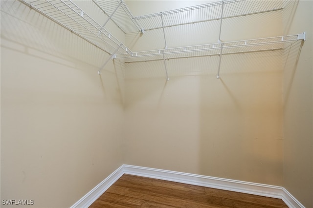 spacious closet featuring wood finished floors