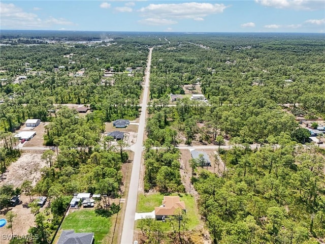 aerial view of a forest