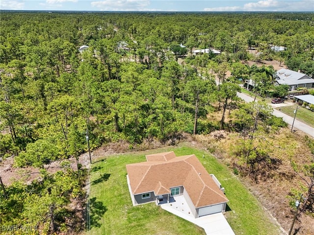 bird's eye view of a forest