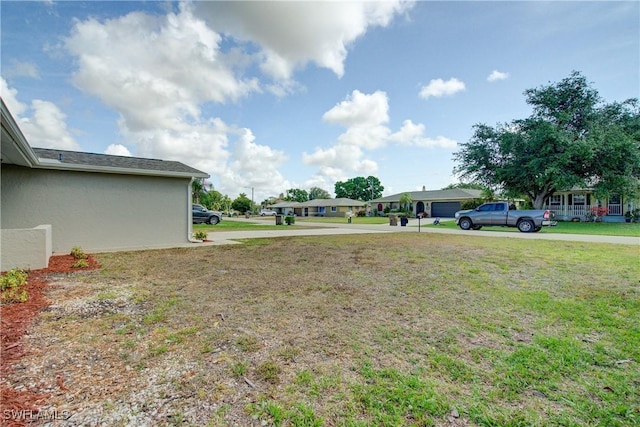 view of yard featuring concrete driveway