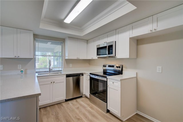 kitchen featuring appliances with stainless steel finishes, a sink, a raised ceiling, light wood finished floors, and ornamental molding
