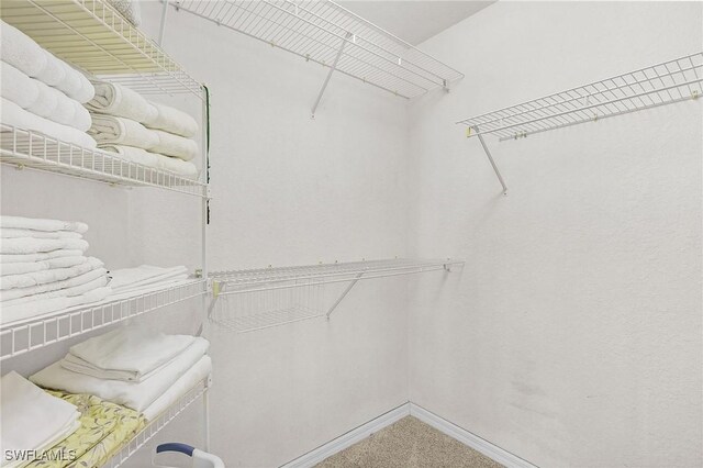 walk in closet featuring carpet floors