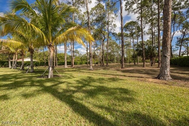 6145 Sea Grass Ln, Naples, FL 34116 - view of grassy yard