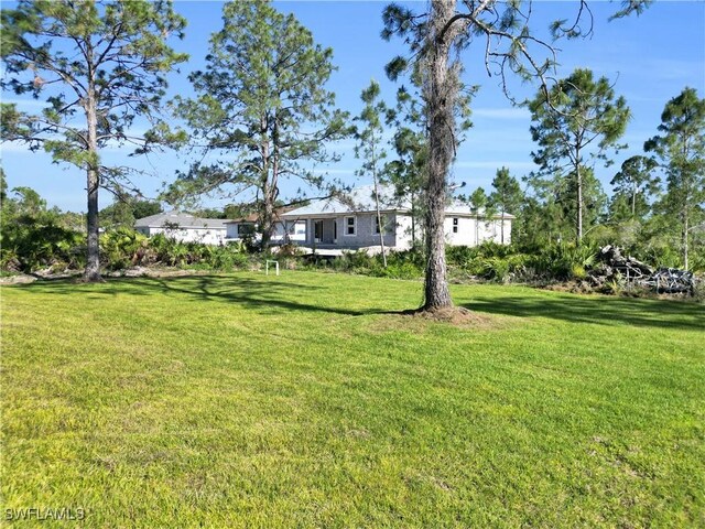 2815 32nd St W, Lehigh Acres, FL 33971 - view of green lawn