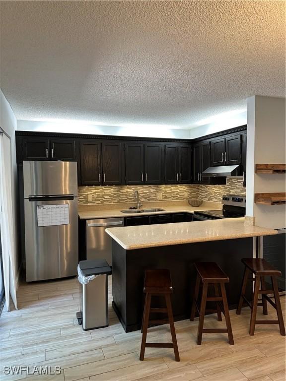 5226 Cedarbend Dr Unit 2, Fort Myers, FL 33919 - kitchen featuring stainless steel appliances, dark cabinets, a sink, under cabinet range hood, and a textured ceiling