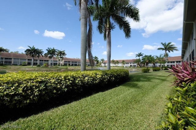 2386 Magnolia Ave Unit 7801, Naples, FL 34112 - view of grassy yard