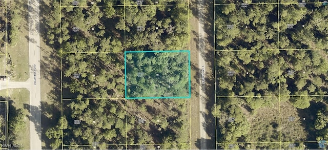 132 Nassau Ave, Lehigh Acres FL, 33974 land for sale