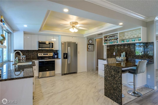 1303 Thompson St, North Fort Myers, FL 33903 - kitchen featuring stainless steel appliances, a sink, a raised ceiling, white cabinetry, and ornamental molding