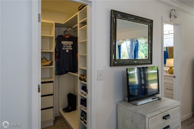 1303 Thompson St, North Fort Myers, FL 33903 - view of walk in closet