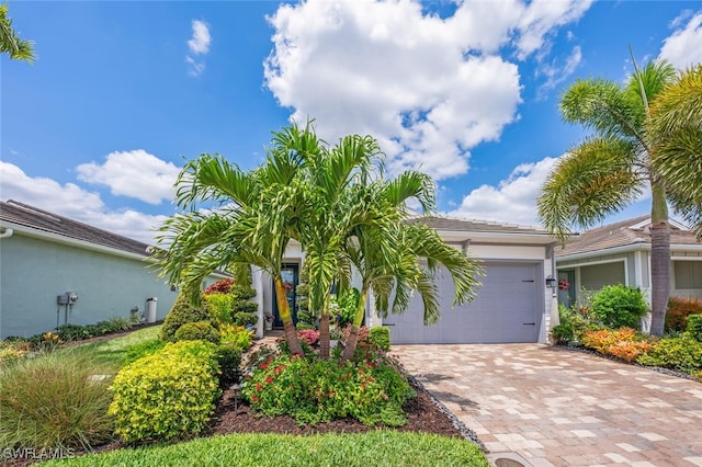 28268 Seasons Tide Ave, Bonita Springs, FL 34135 - view of front facade featuring a garage, stucco siding, and driveway