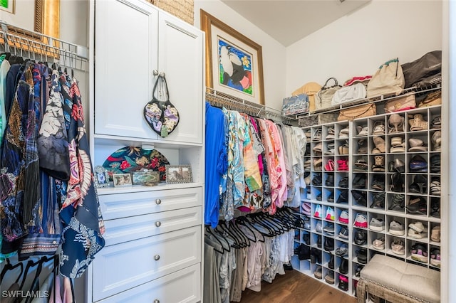28268 Seasons Tide Ave, Bonita Springs, FL 34135 - spacious closet with dark wood finished floors