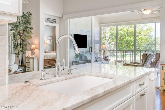 bathroom featuring a ceiling fan, wood finished floors, and vanity