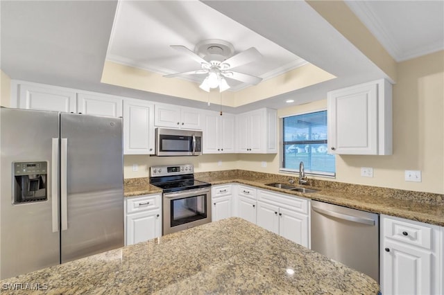 kitchen featuring appliances with stainless steel finishes, a sink, a raised ceiling, stone countertops, and ornamental molding