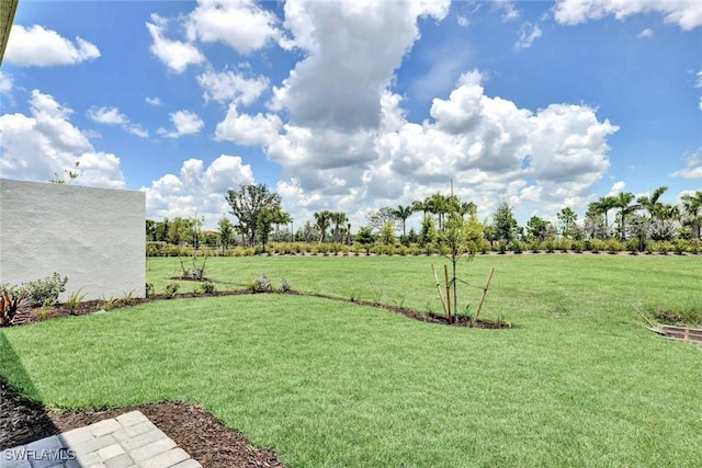 44311 Panther Dr, Punta Gorda, FL 33982 - view of green lawn with a view of rural / pastoral area