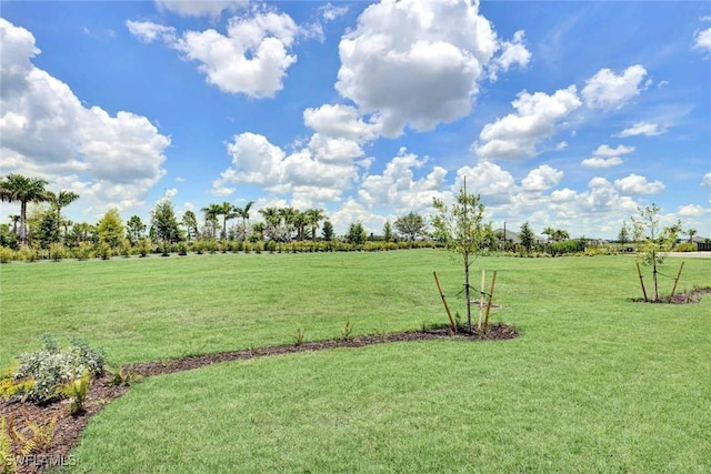 44311 Panther Dr, Punta Gorda, FL 33982 - view of grassy yard featuring a view of rural / pastoral area