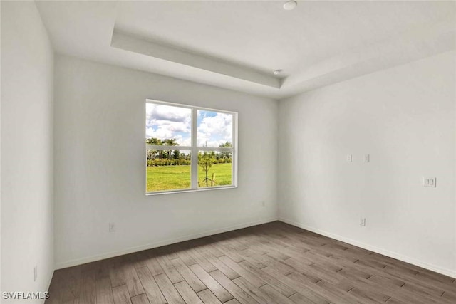 44311 Panther Dr, Punta Gorda, FL 33982 - spare room with wood finished floors, a raised ceiling, and baseboards