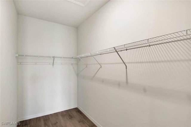 44311 Panther Dr, Punta Gorda, FL 33982 - spacious closet featuring wood finished floors