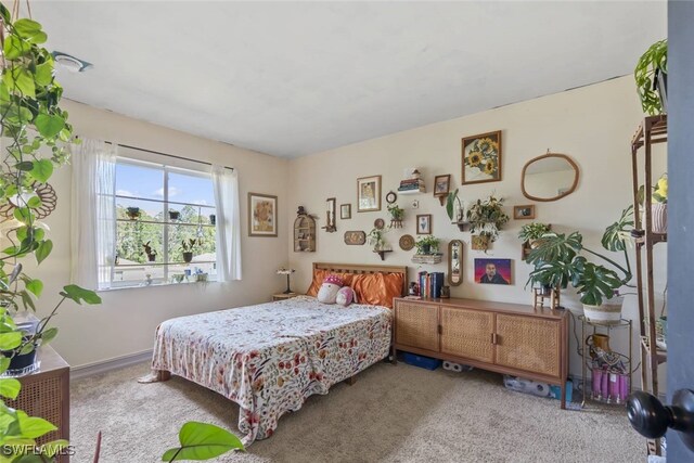 857 Bedford Dr, Lehigh Acres, FL 33974 - view of carpeted bedroom