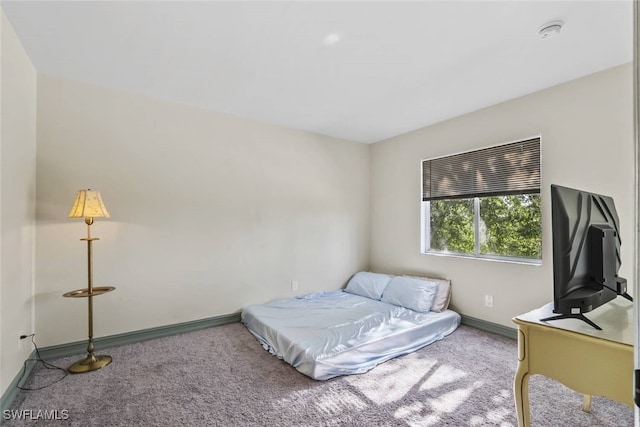 857 Bedford Dr, Lehigh Acres, FL 33974 - carpeted bedroom with baseboards