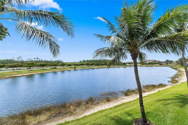 9510 Avellino Way Unit 1924, Naples, FL 34113 - water view