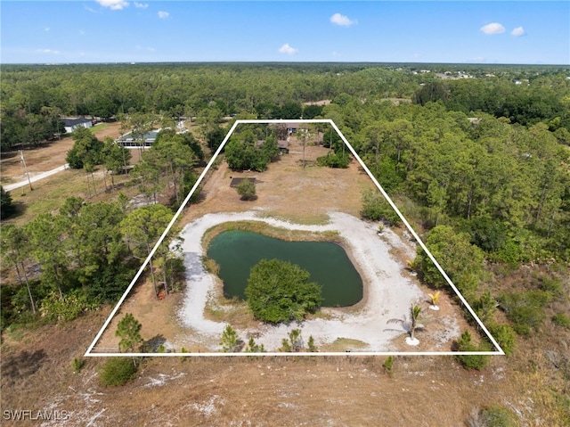 aerial overview of property's location featuring a forest, property parcel outlined, and a large body of water