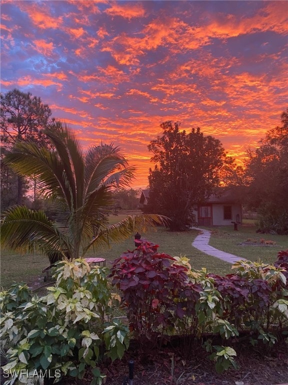 view of yard at dusk