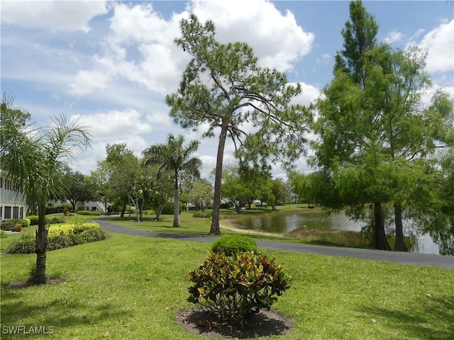 1704 Kings Lake Blvd Unit 105, Naples, FL 34112 - surrounding community featuring a lawn and a water view