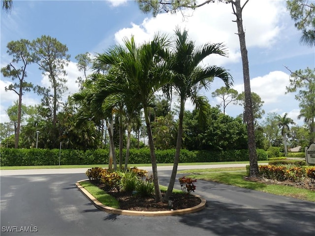 1704 Kings Lake Blvd Unit 105, Naples, FL 34112 - view of street with view of wooded area