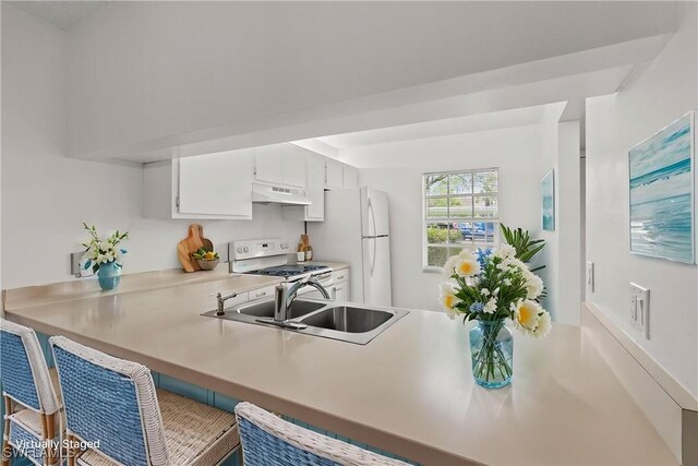 1704 Kings Lake Blvd Unit 105, Naples, FL 34112 - kitchen featuring white appliances, under cabinet range hood, a sink, light countertops, and a breakfast bar area