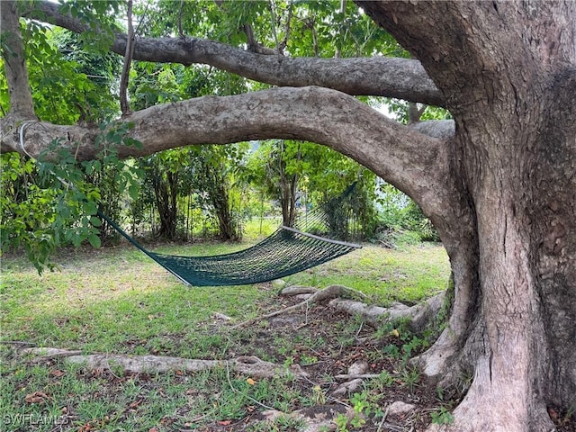 surrounding community featuring a lawn