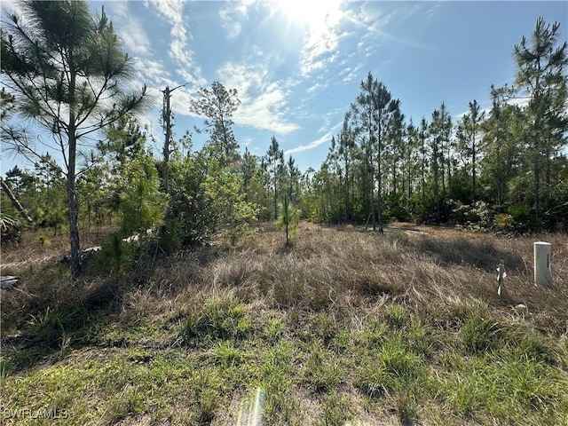 1014 Jackson Ave, Lehigh Acres, FL 33972