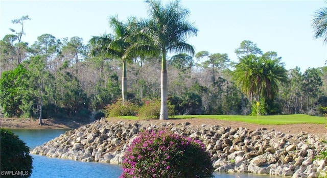 view of home's community featuring a water view and view of scattered trees