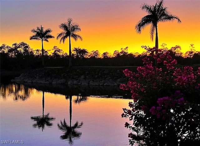water view