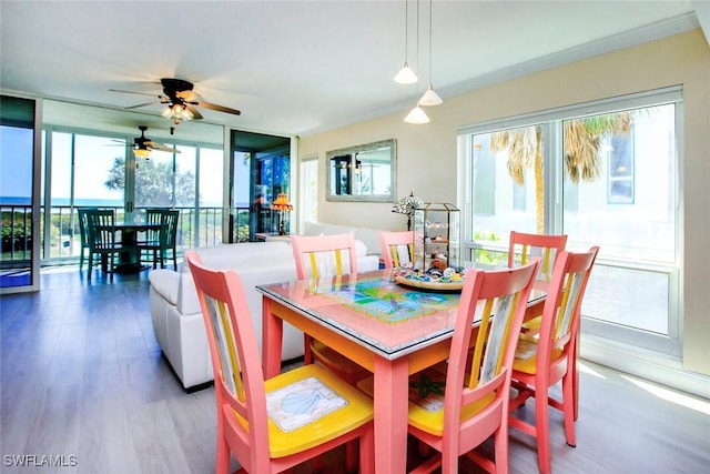 dining space with wood finished floors, a ceiling fan, ornamental molding, and a wall of windows