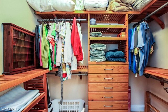 view of spacious closet