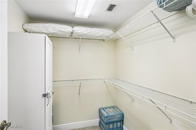 1520 SW 50th St Unit 202, Cape Coral, FL 33914 - view of walk in closet