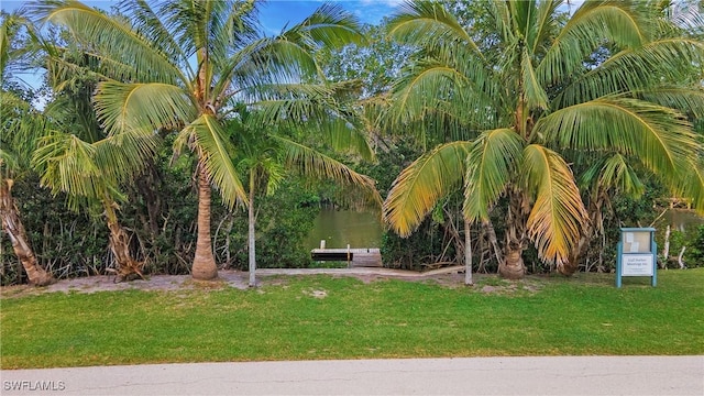 767 Glendale Ave, Naples, FL 34110 - view of grassy yard